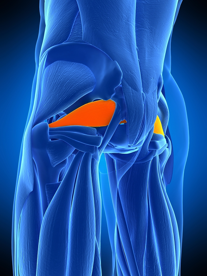 A Primer on Piriformis Syndrome
