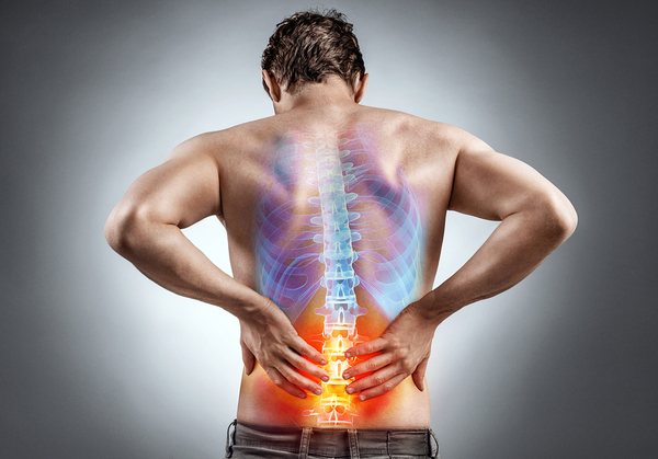 How to Build Your Neck and Back