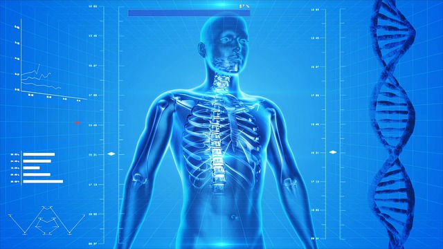 Regular Tune Ups for your Spine